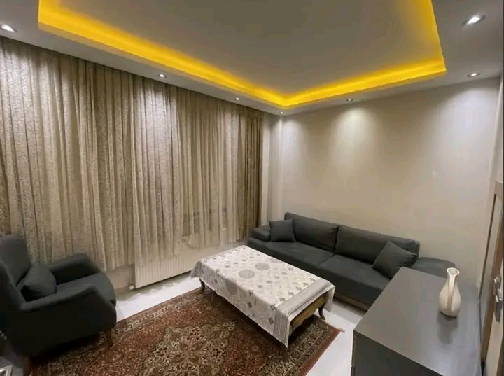 🔑1+1 furnished apartment for annual rent
