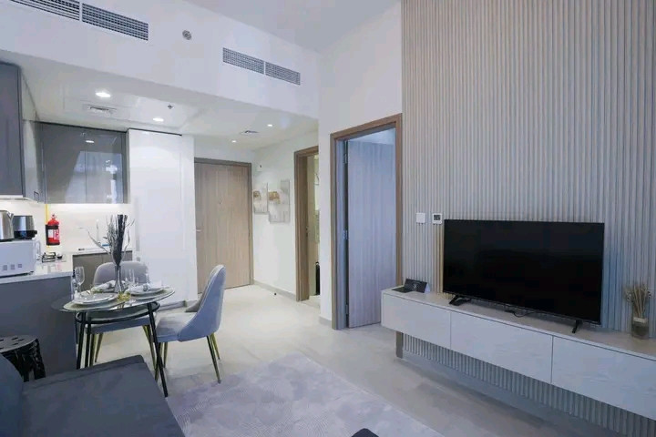 ✨ 1BR in Azizi Riviera