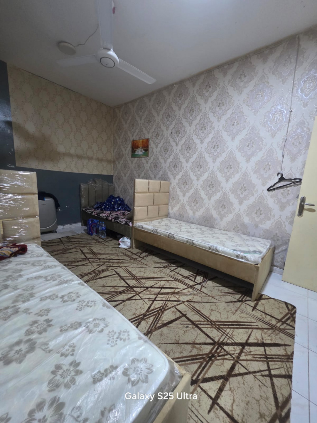 aagman-alnaaymy-2-xwih01782890345.jpg