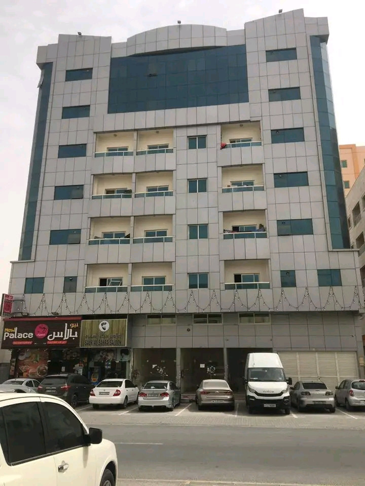 aard-skn-mmyz-shk-ghrf-osal51786634811.jpg