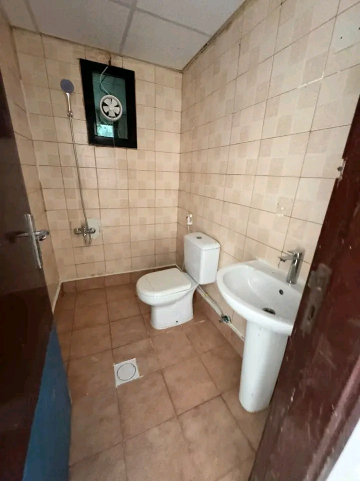 🔥 **The best studio in the galaxy | First tenant with an explicit bachelor contract!**