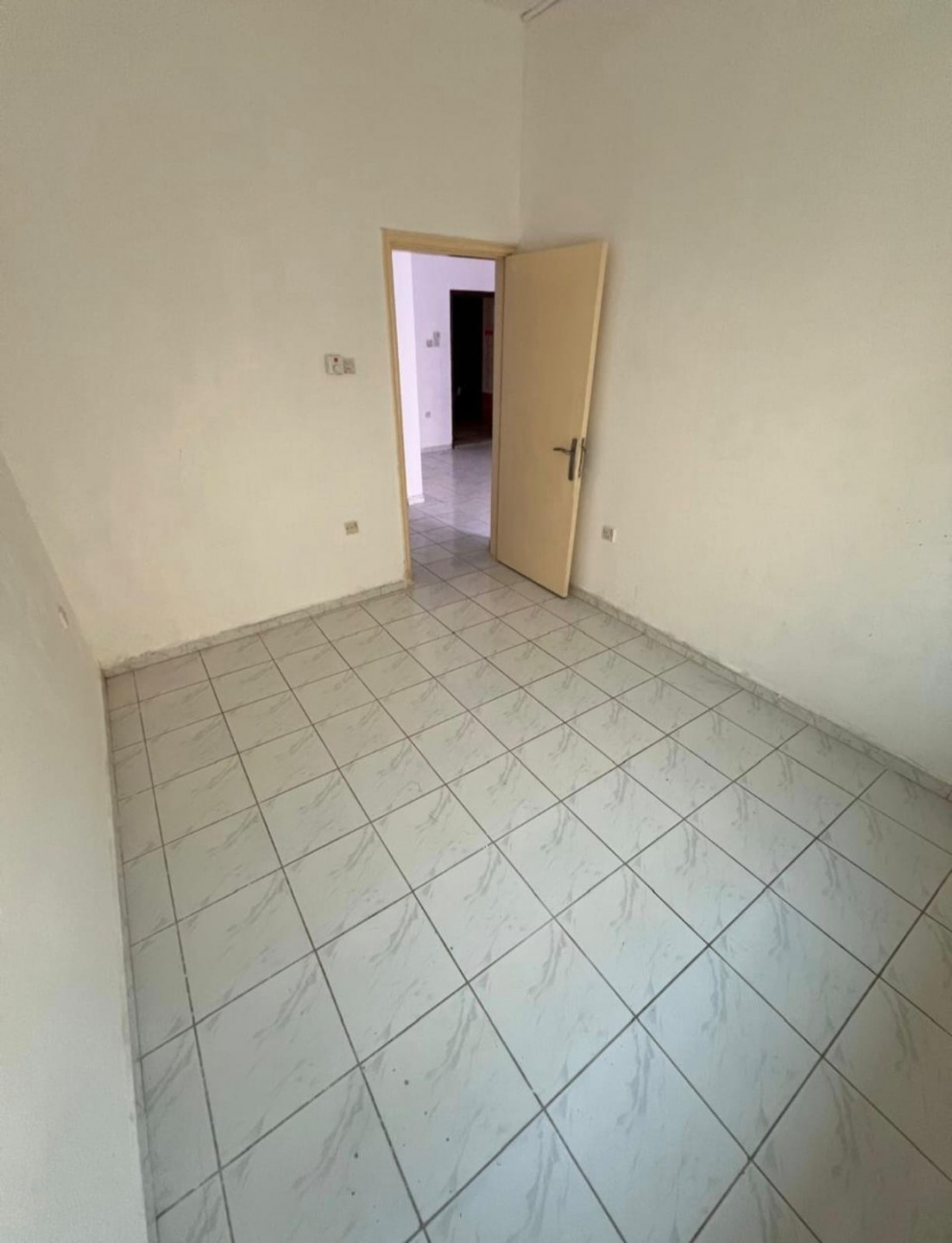 albotynh01783788537.jpg