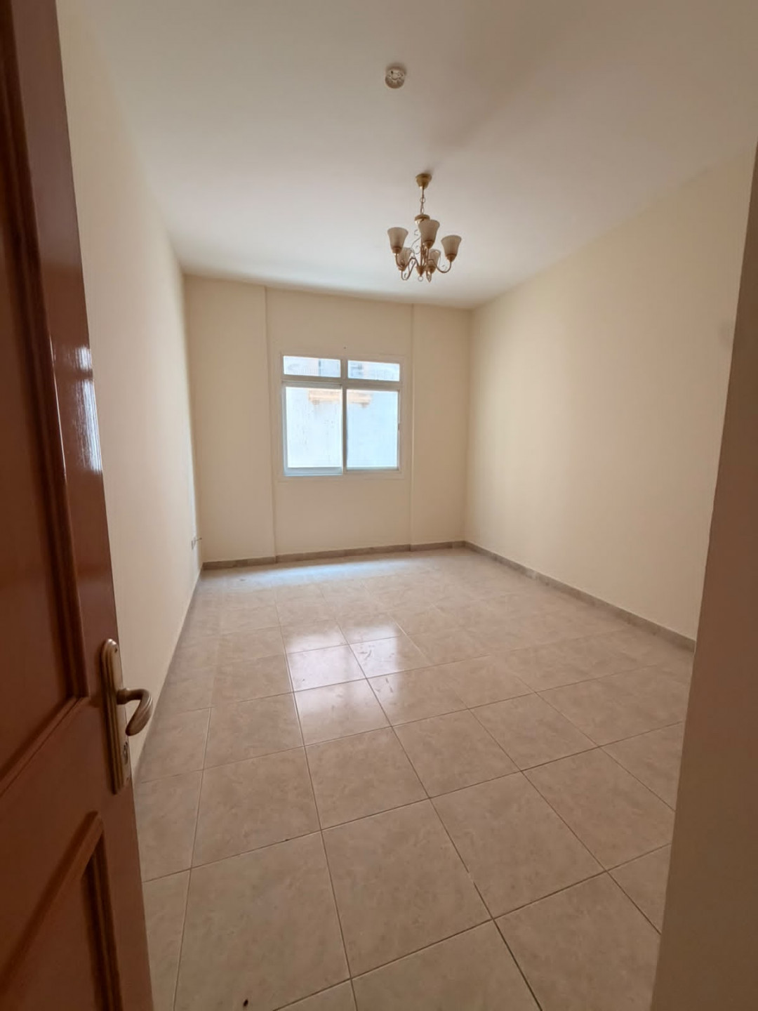 alklyaa-j8tl01783790269.jpg