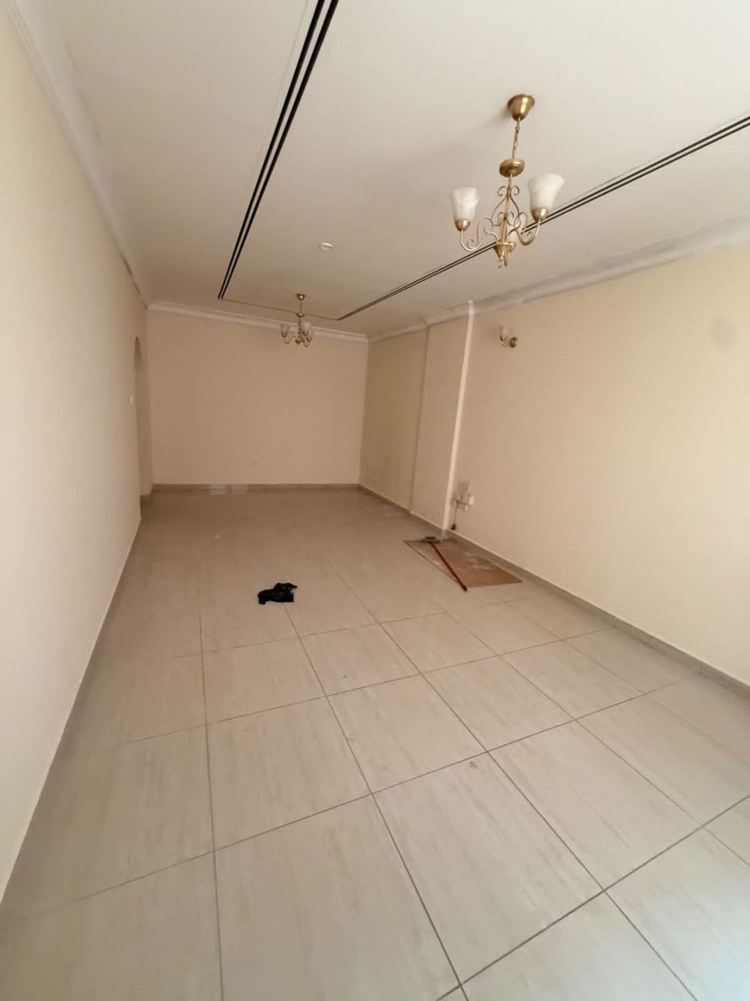 alklyaa-j8tl71783790271.jpg