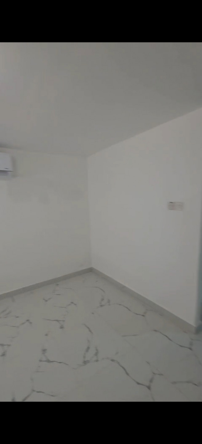 almtar61781710156.jpg