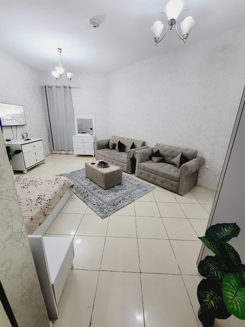 alrashdy111782915180.jpg