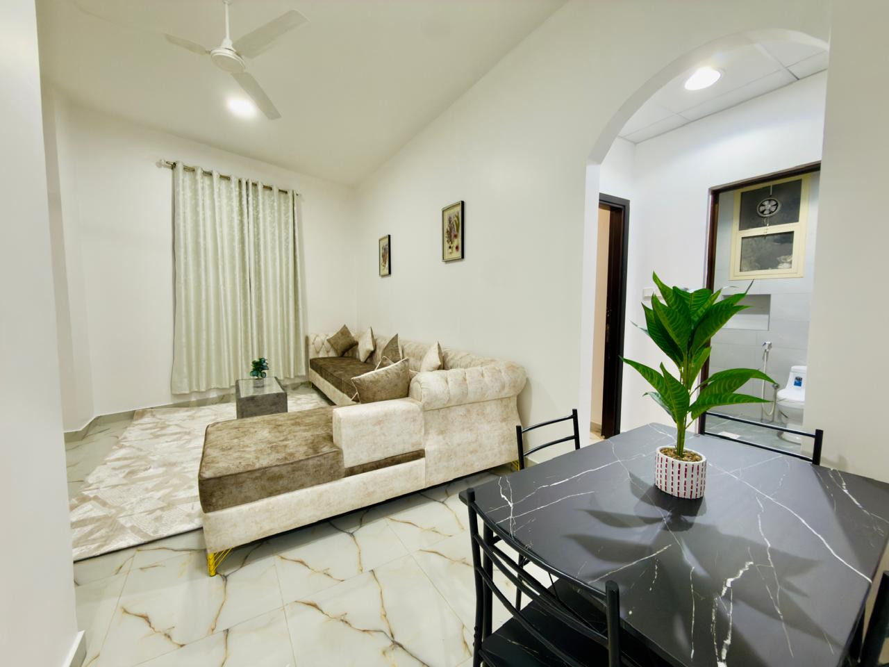 alrashdy301780012999.jpg
