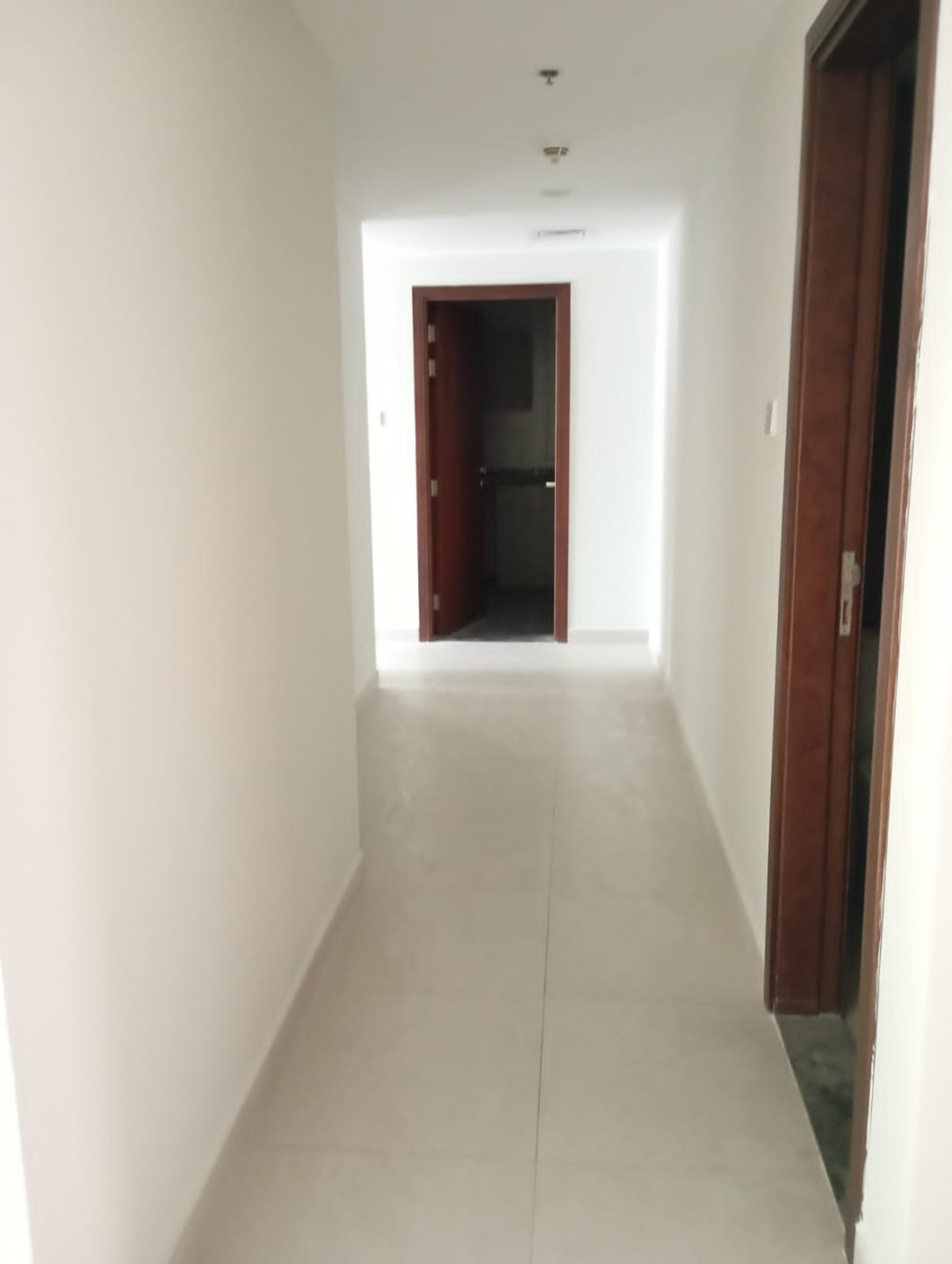 altaaaon-alsharkh01783694233.jpg