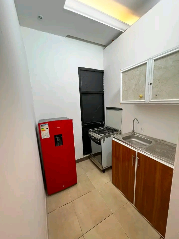 First tenant: Studio apartment with one room, bathroom, and kitchen
