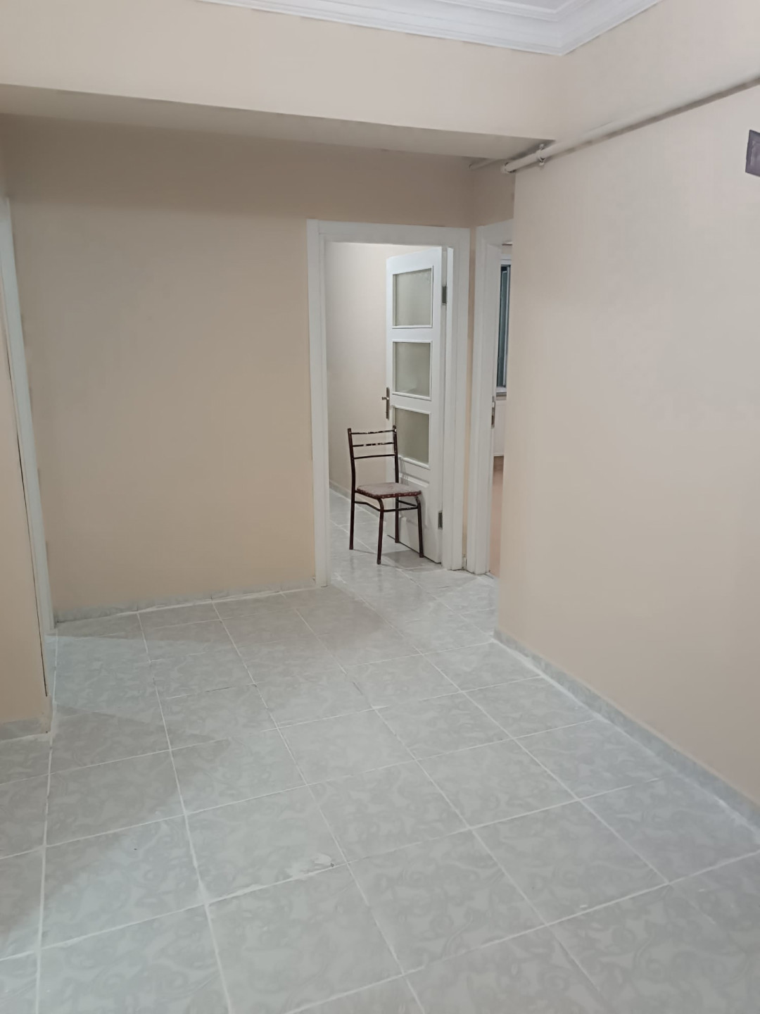 asnyort-hy-tlaat-basha51783753671.jpg