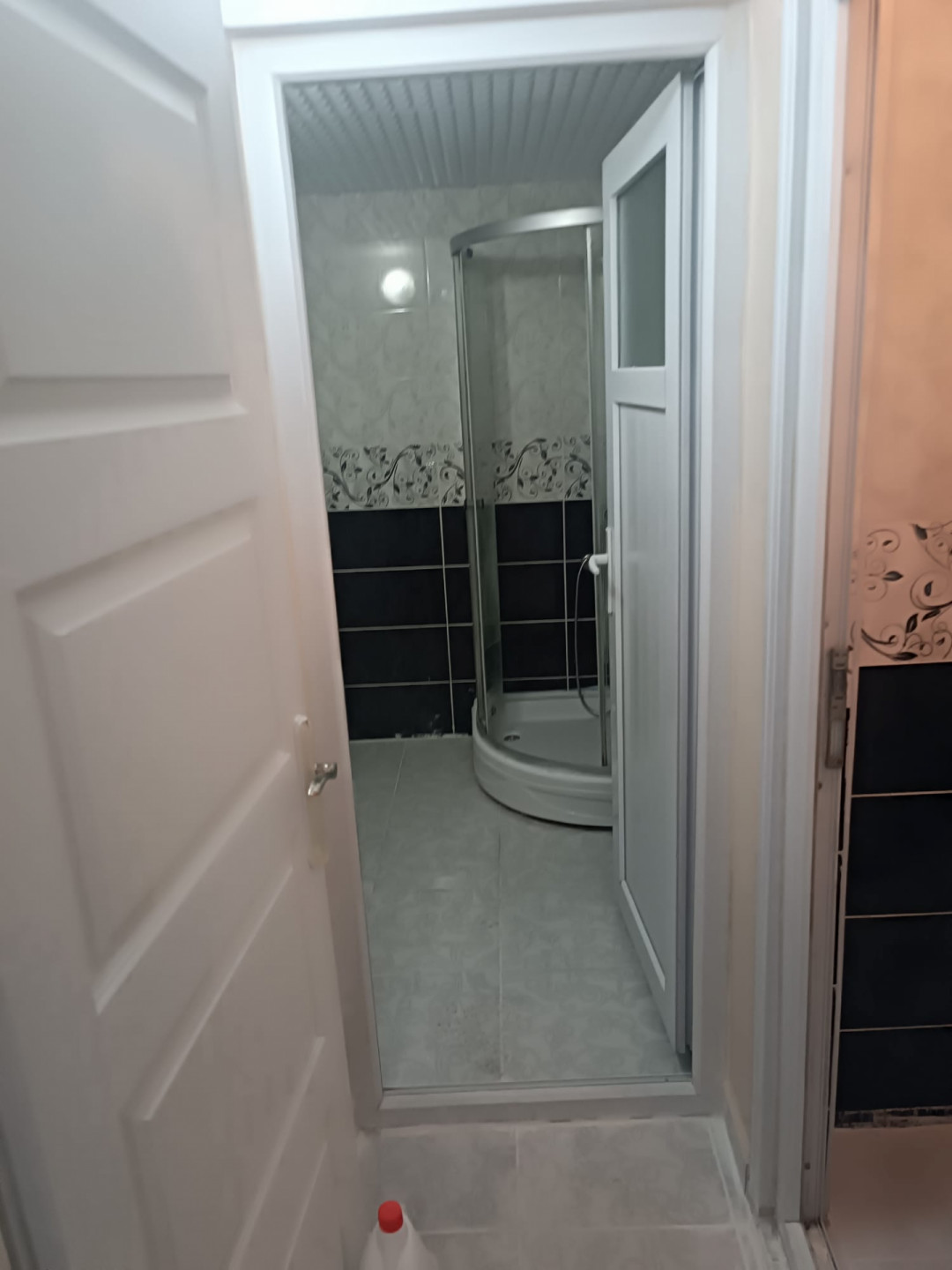 asnyort-hy-tlaat-basha61783753672.jpg