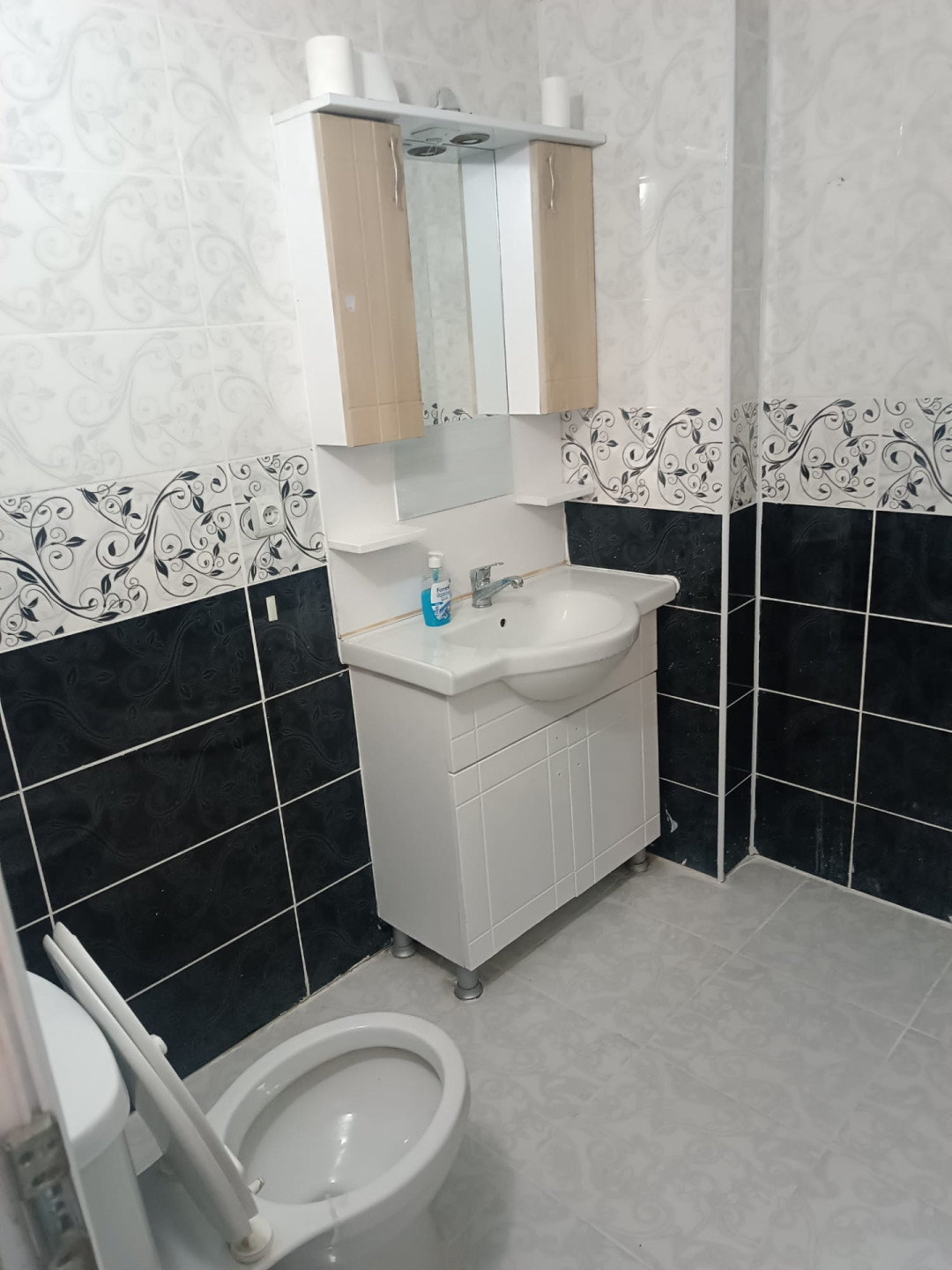 asnyort-hy-tlaat-basha81783753673.jpg