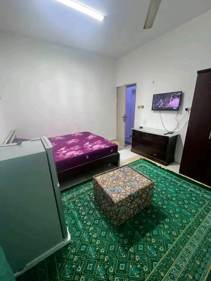 Furnished studio apartment after renovation