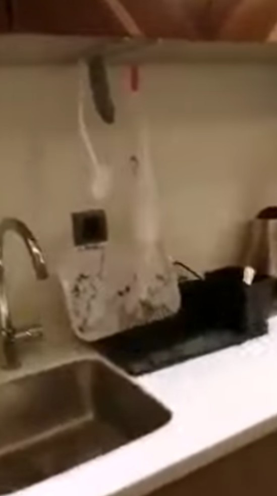Furnished studio in Bagcilar