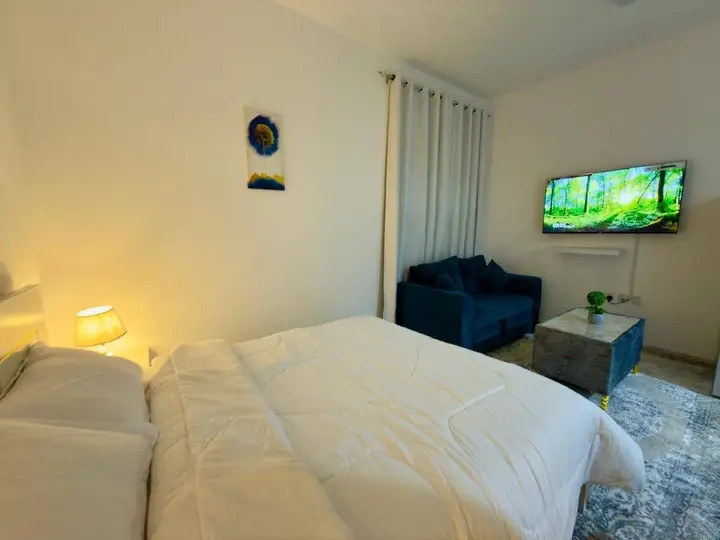 Furnished studio apartment with brand new furniture for monthly rent ✨