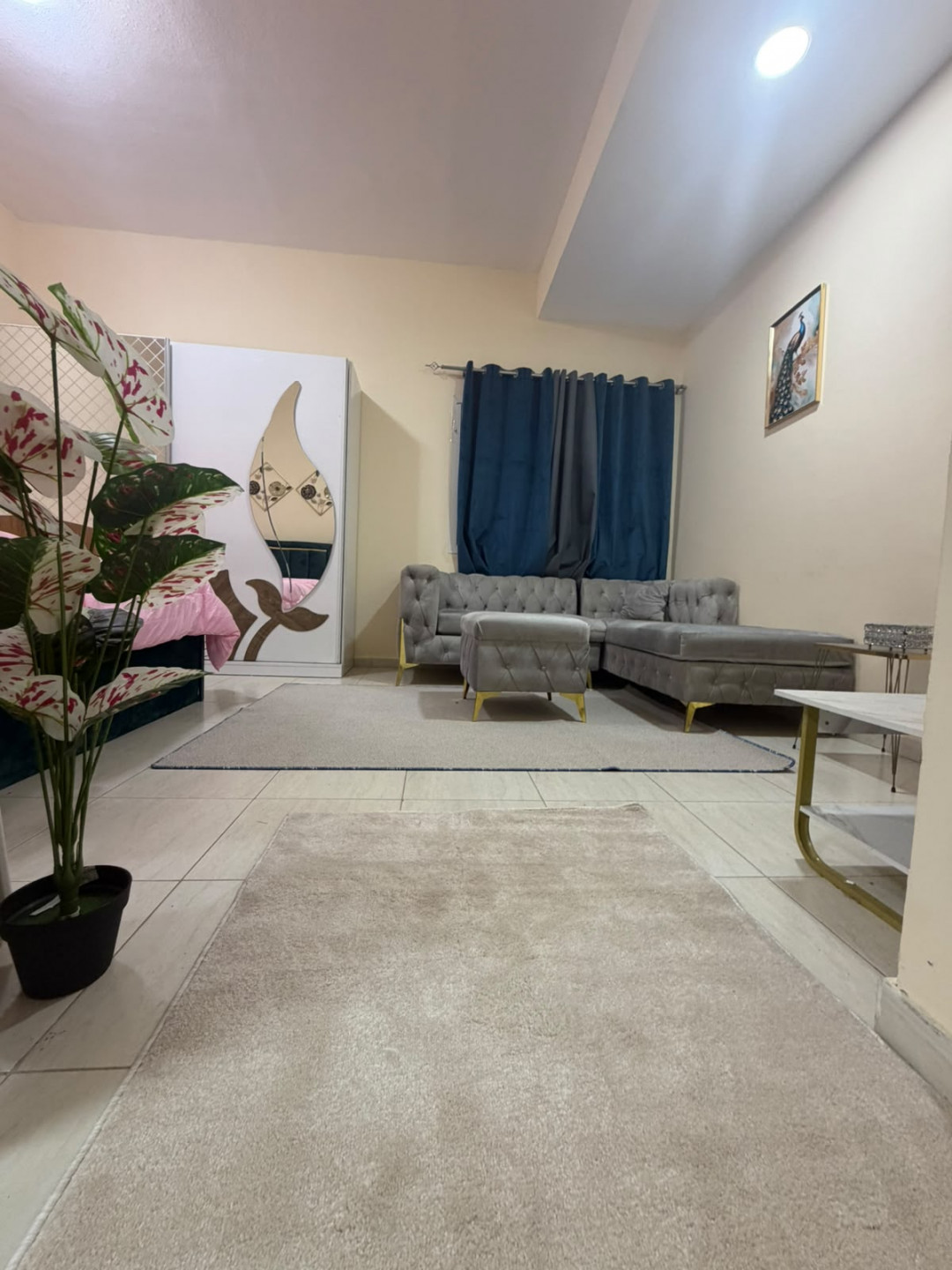 Furnished studio with separate kitchen