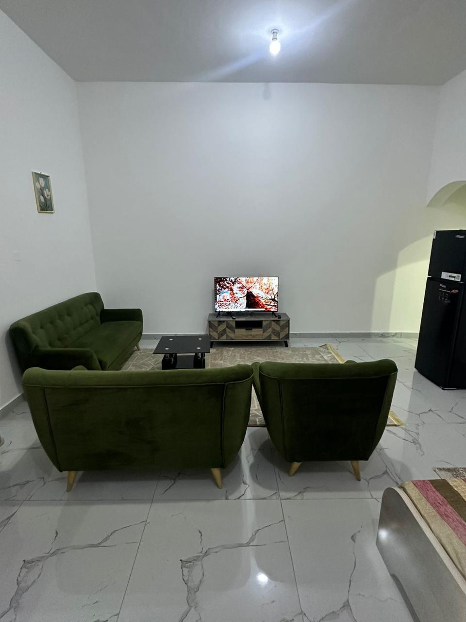 astdyo-msahh-kbyr-llaygar-mfrosh-frsh-kaml-f-mdynh-alryad-gnob-alshamkhh91779139197.jpg