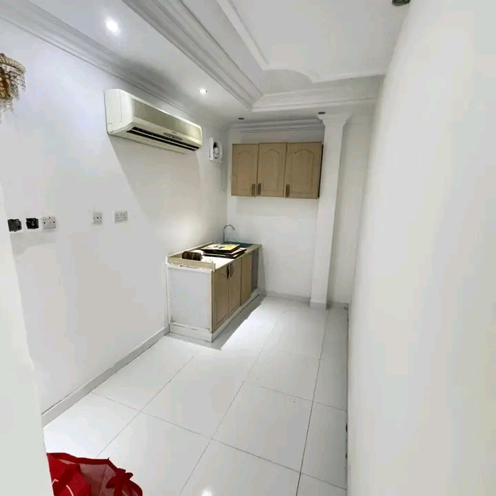 Spacious studio, first occupancy after renovation