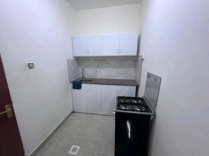 spacious furnished studio