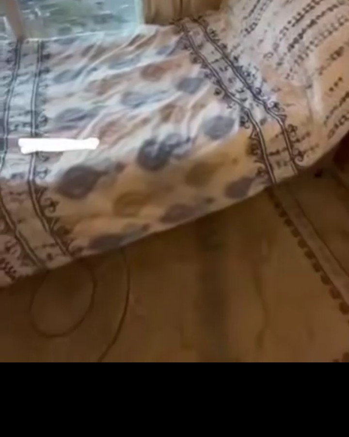 astdyo-sltany-mhlsy51783625392.jpg