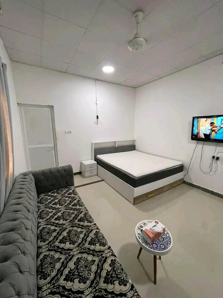 Studio apartment with a bathroom and a standard kitchen