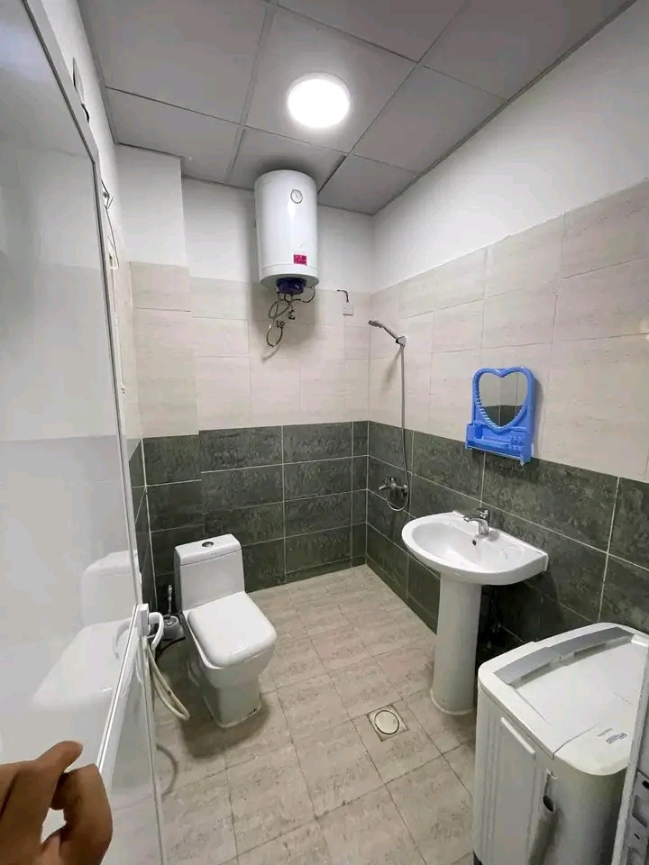 Studio apartment with a bathroom and a standard kitchen