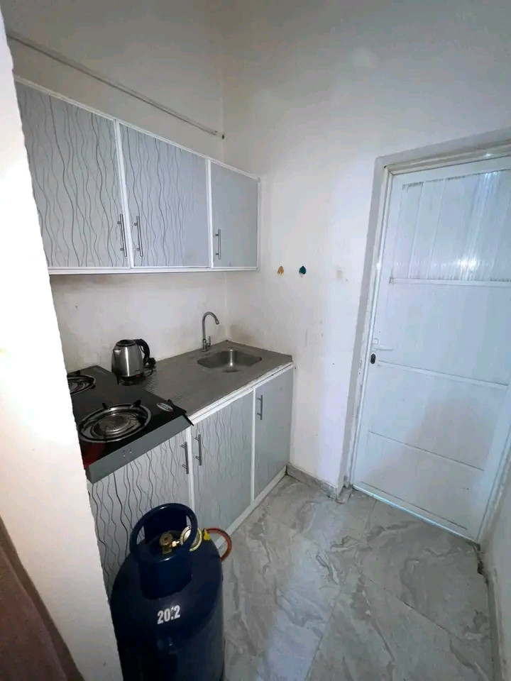 Studio room, bathroom, and kitchen