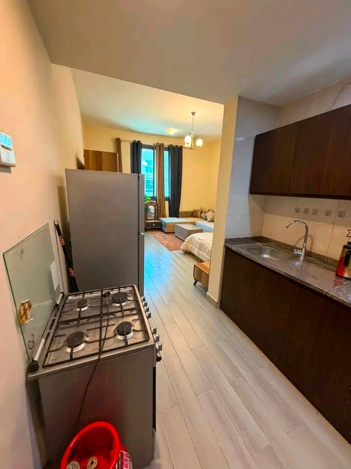 Furnished studio with luxury hotel-style furnishings