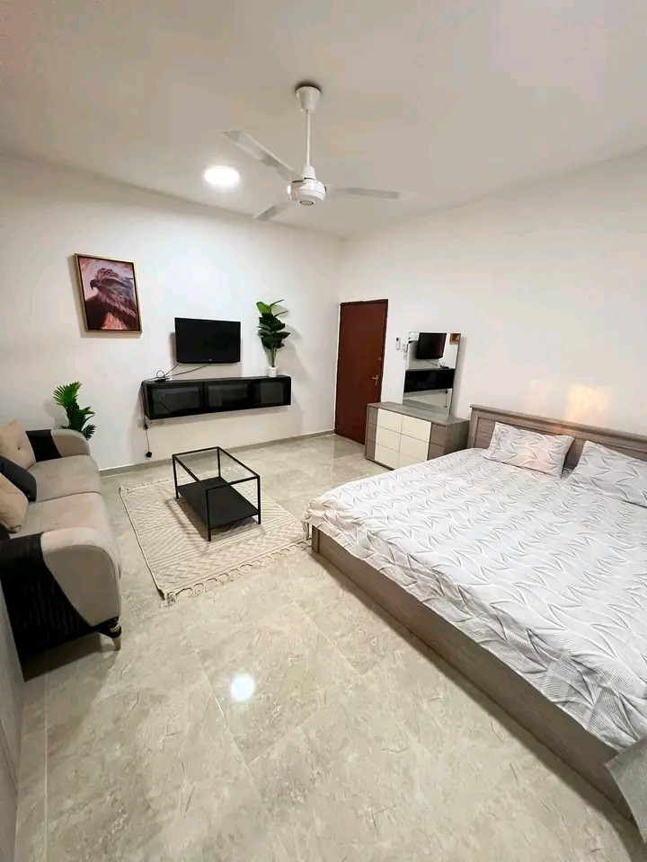 Spacious studio apartment with a large room and main kitchen