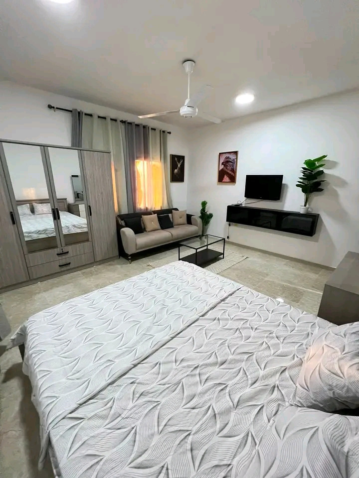 Spacious studio apartment with a large room and main kitchen