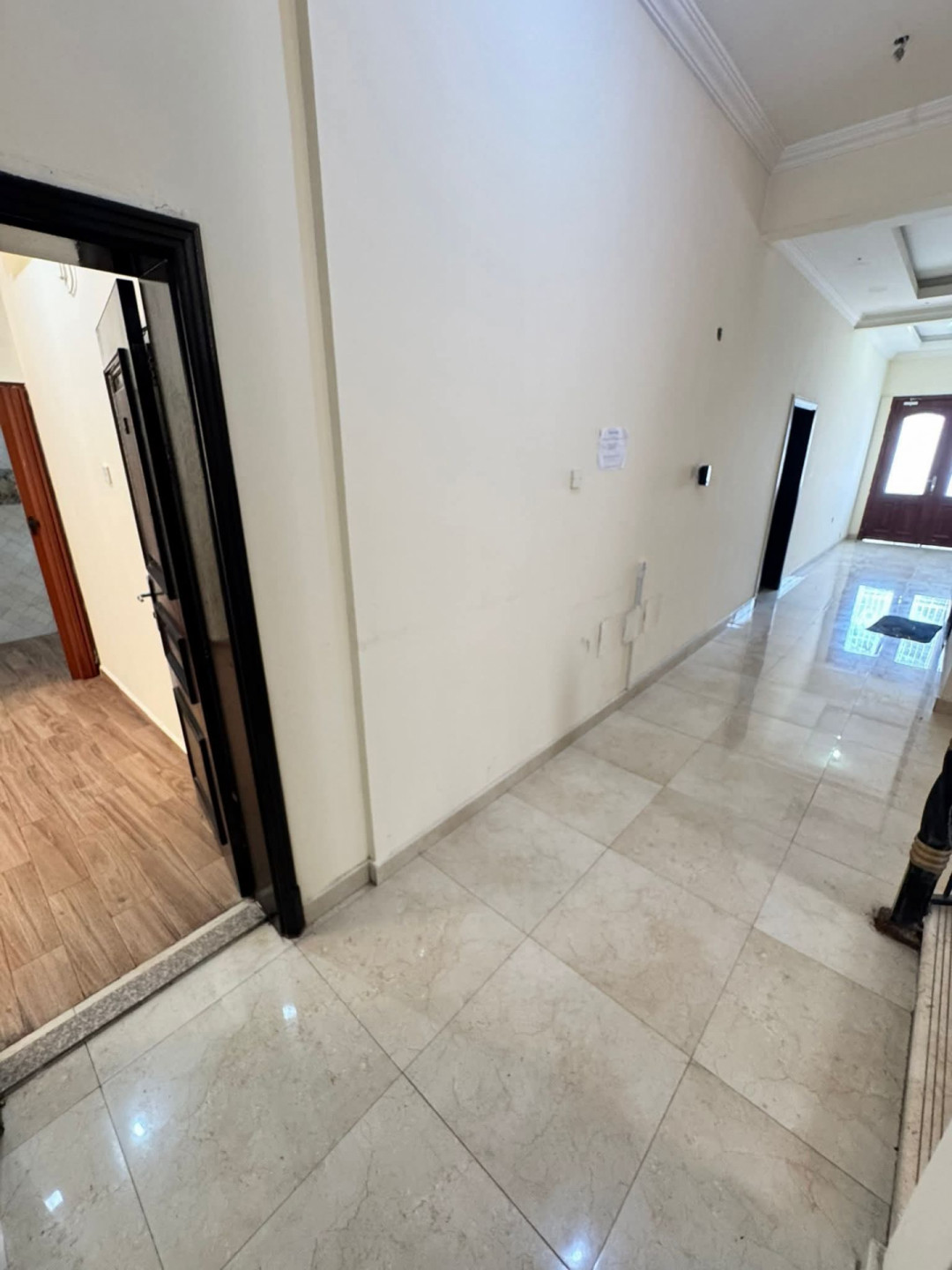 Small studio in Ain Khaled