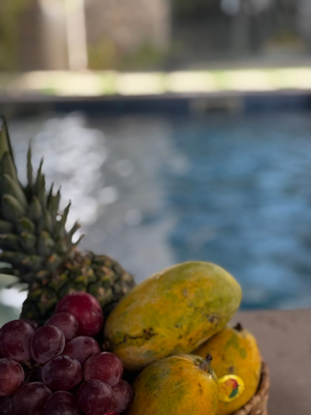 Flora Al Sharq Rest Area