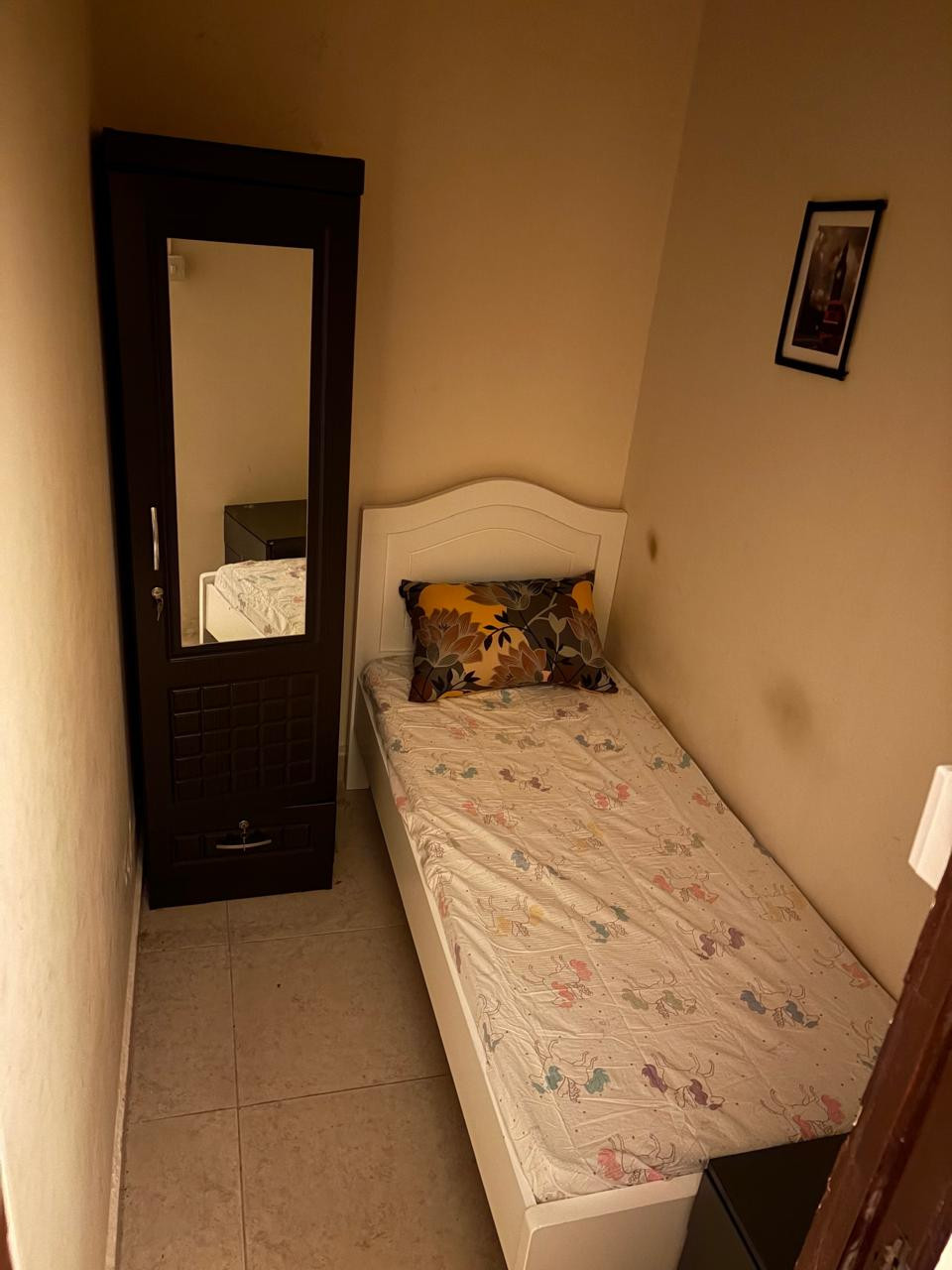 bartshn-fy-shk-shbab-skn-nthyf-gdaa-shaml-kl-shy01784582682.jpg