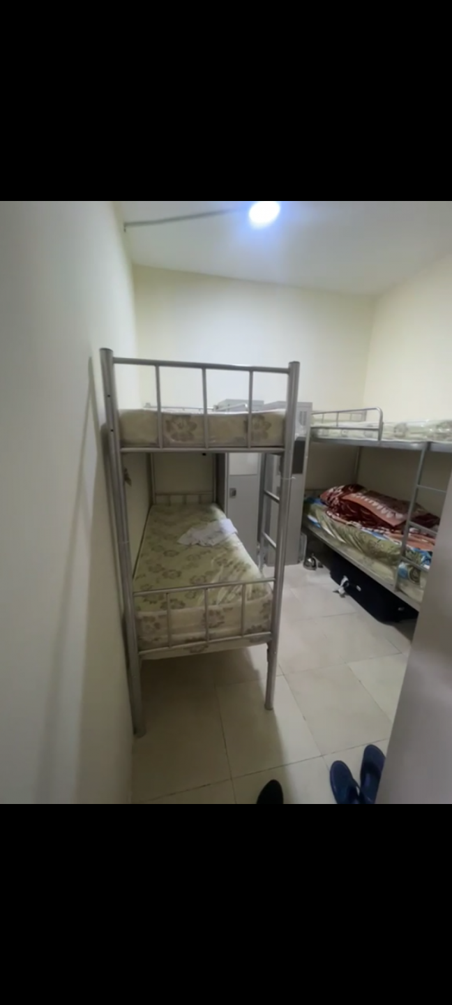 dby-ghrf-shbab01783077712.png