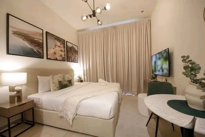 fully-furnished-studio-azizi-riviera-meydan-dubai01786130323.jpg