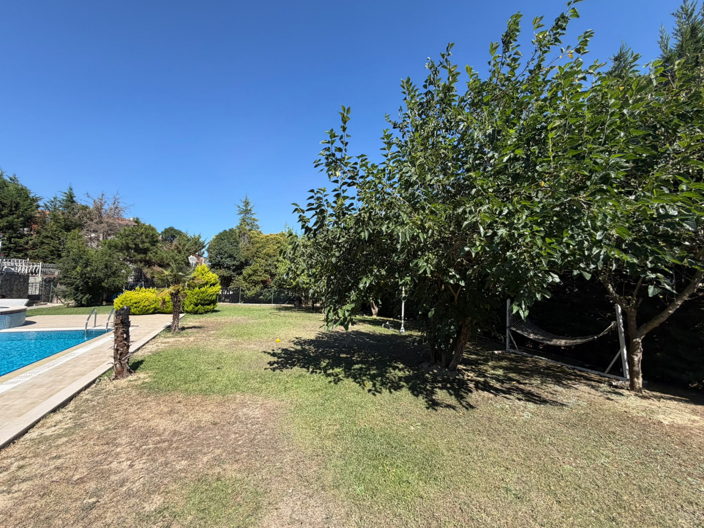 fyla-llaygar-alyomy-frsh-ndyf01788726424.jpg