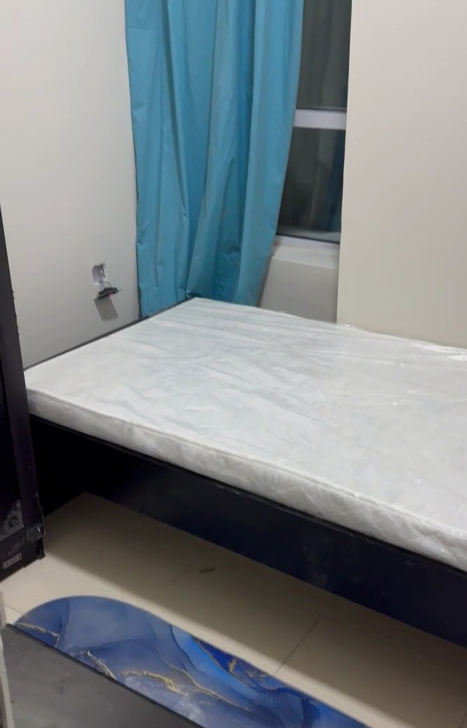 ghrf-mmyz-balaorynt01787255415.jpg