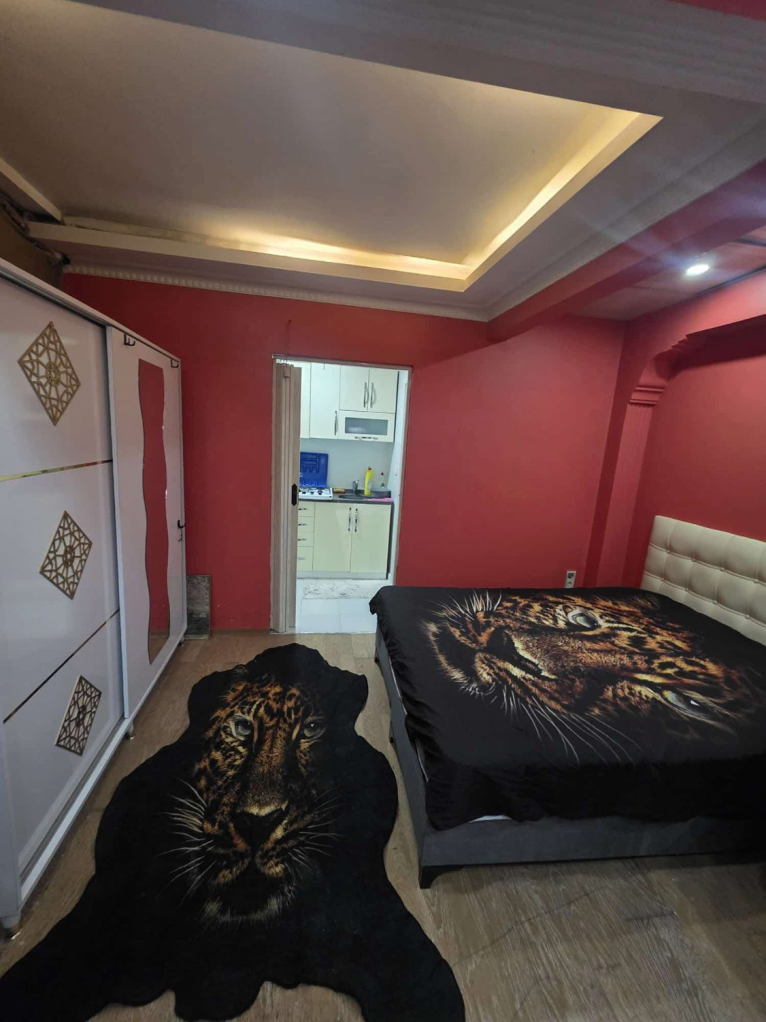 Luxury room and lounge