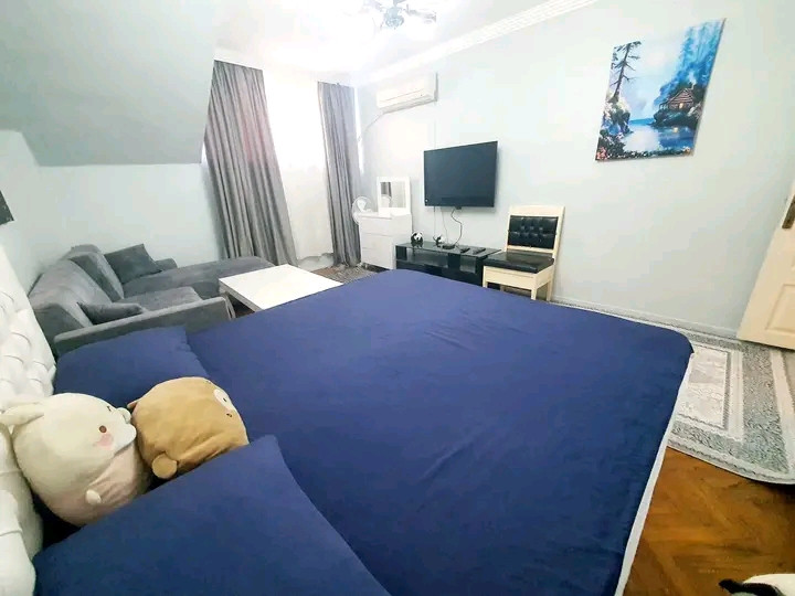 One bedroom and living room, excellent cleanliness, ground floor