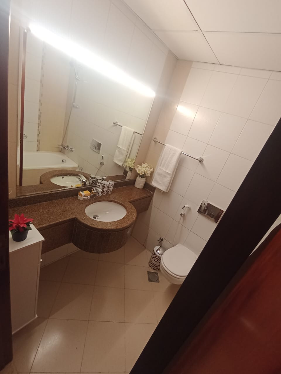 Double room with private bathroom in a clean apartment for young people