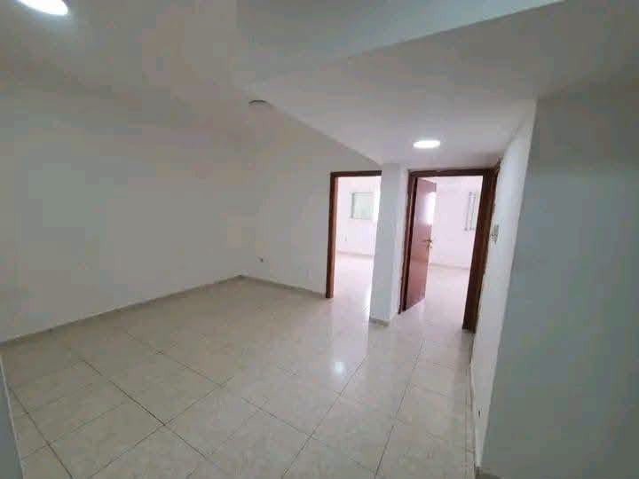 ghrftyn-osal-bdon-frsh01792252299.jpg