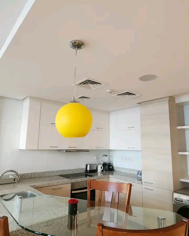 Luxury fully furnished apartment for rent in Dilmunia