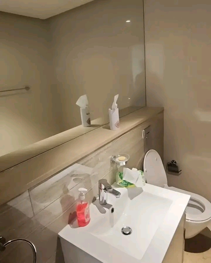 Luxury fully furnished apartment for rent in Dilmunia