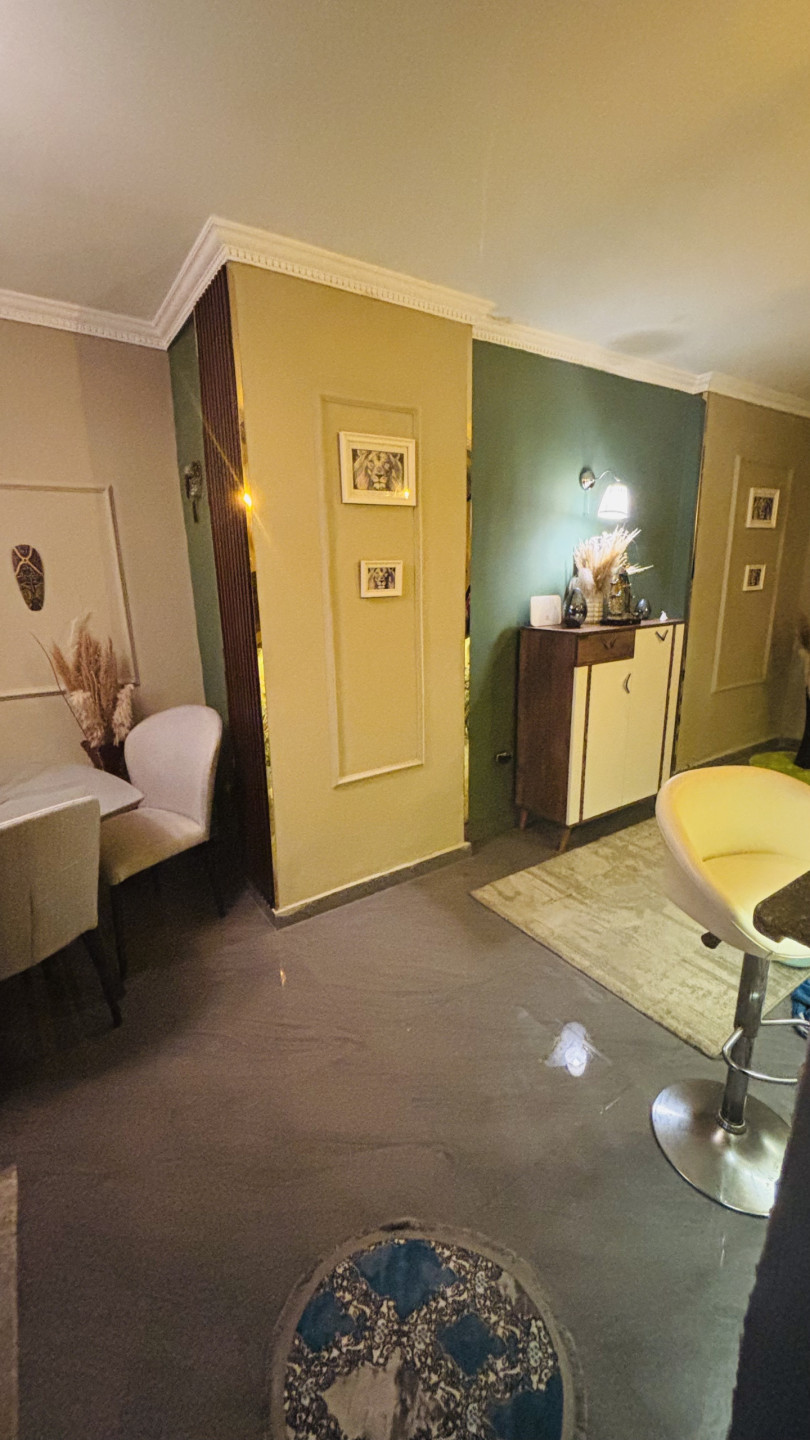 luxurious-apartment-apt-roshdy-syria-st61758890440.jpg