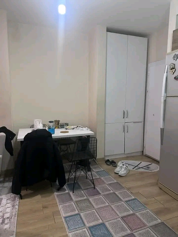N logo complex, furnished apartment for annual rent