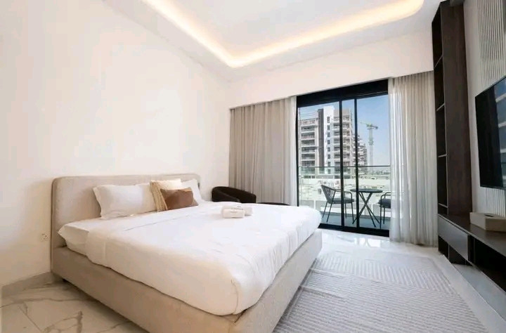 modern-fully-furnished-studio01786129746.jpg