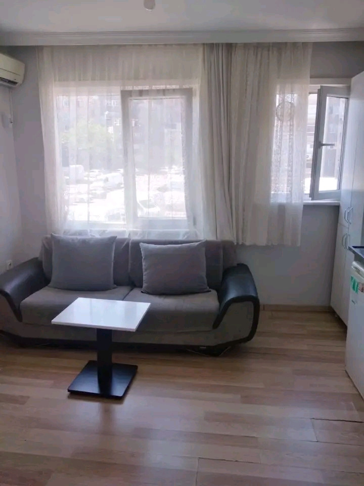 A furnished 1+1 apartment (one bedroom and living room) is available.