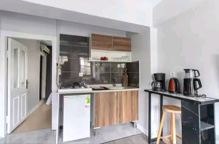 A furnished 1+1 apartment (one bedroom and living room) is available.