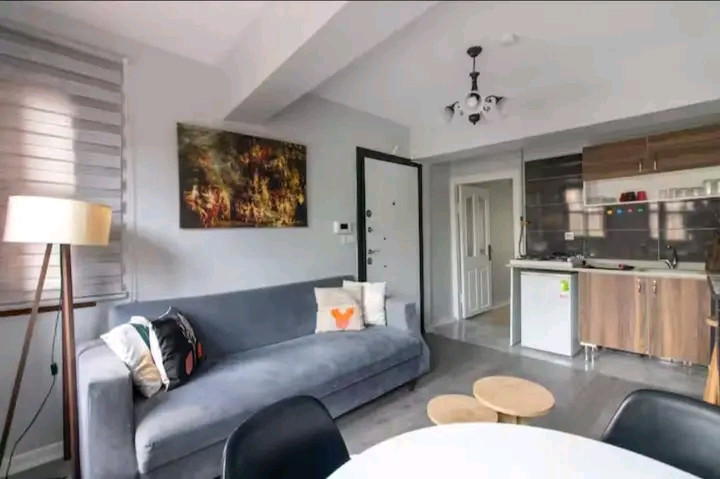 A furnished 1+1 apartment (one bedroom and living room) is available.