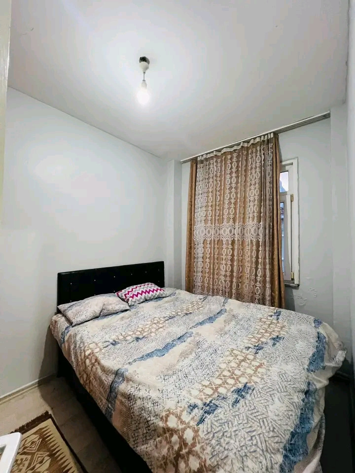 shk-11-mfrosh-llagar-alsnoy01793130878.jpg